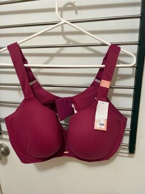 Cacique Full Coverage Wireless Bra in Deep Berry